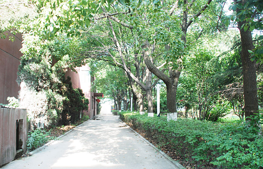 918博天堂(中国)人生就是搏